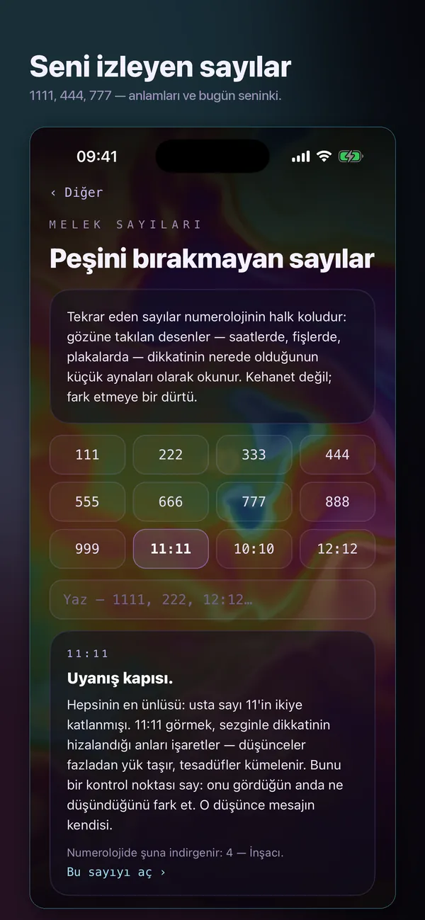 Yaşam Yolu 2 — Barışçı